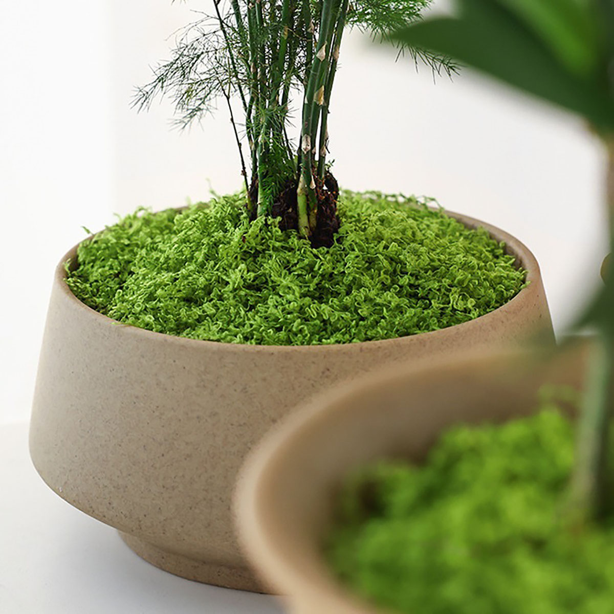 Yaklaşık 20g Yapay Yeşil Bitki - Home Decor Handicraft incelemesi ve fiyatı