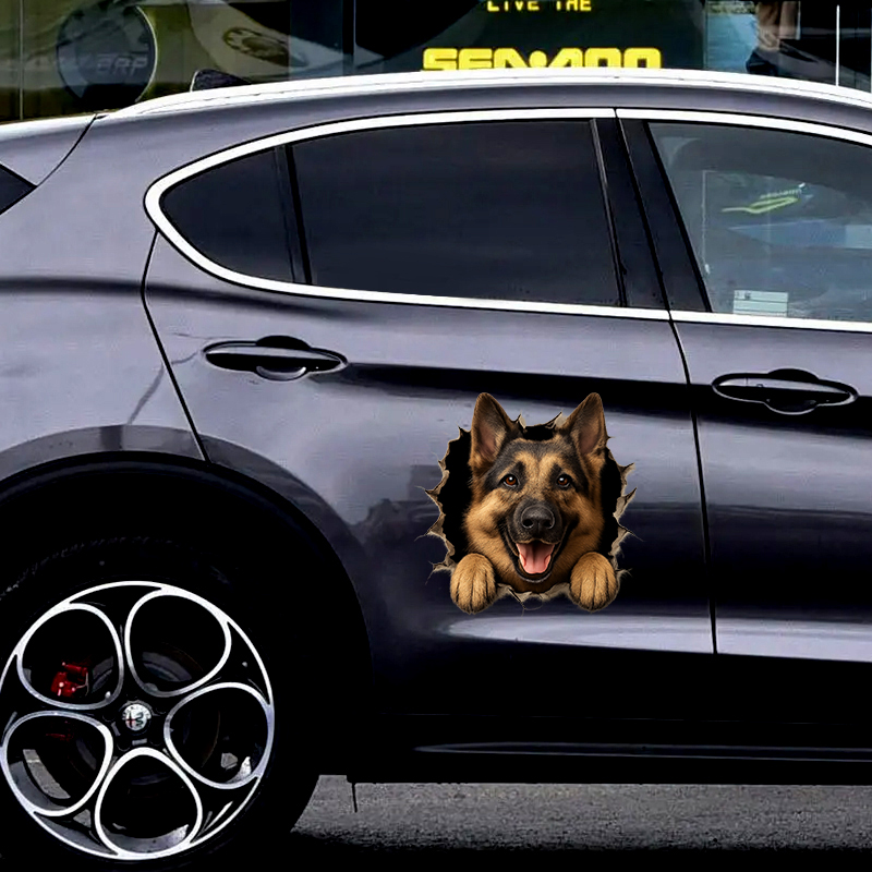 3D Alman Çoban Köpeği “Duvar K - Germany Home Decor incelemesi ve fiyatı