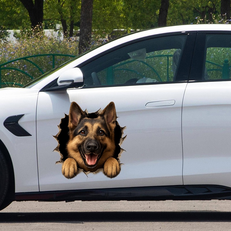 3D Alman Çoban Köpeği “Duvar K - Germany Home Decor incelemesi ve fiyatı